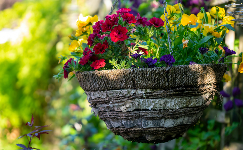 Hanging Baskets For The Summer