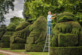 Which Ladder Do I Need?