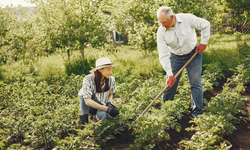 How gardening can improve your mental health