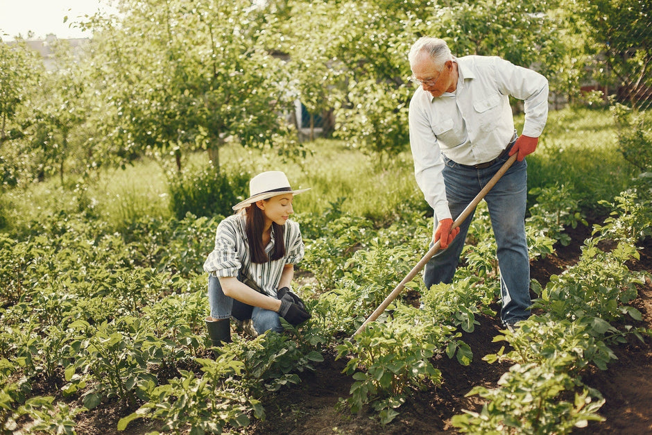 How gardening can improve your mental health