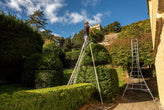 Types of Ladders