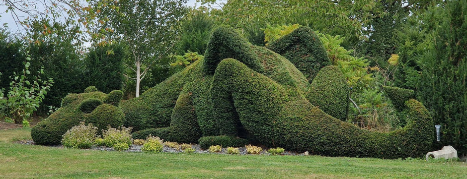 Enter the 2026 Henchman Topiary Awards