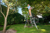 Types of Ladders