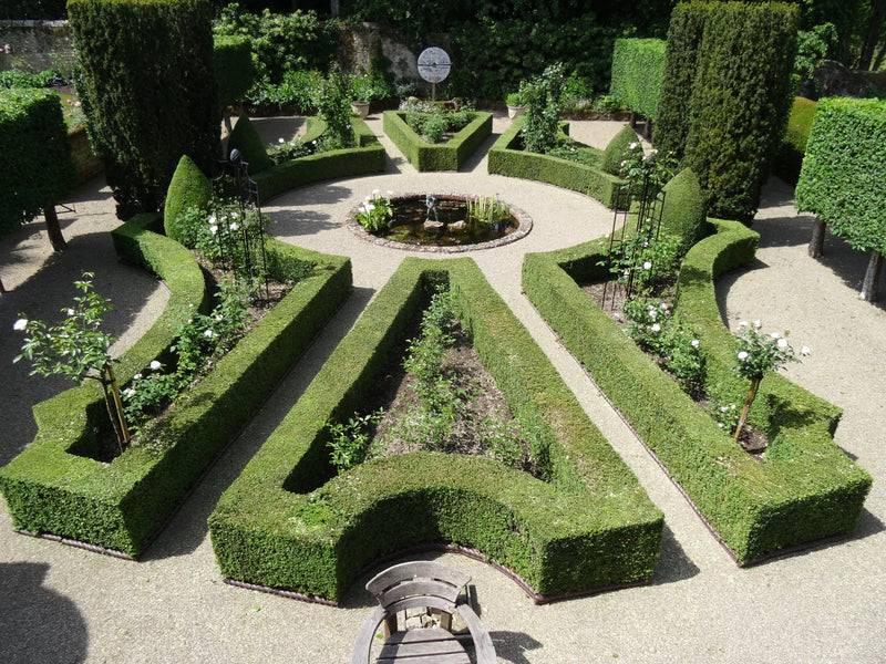 <h4><strong>Runner-up: Darrell Adams</strong></h4>