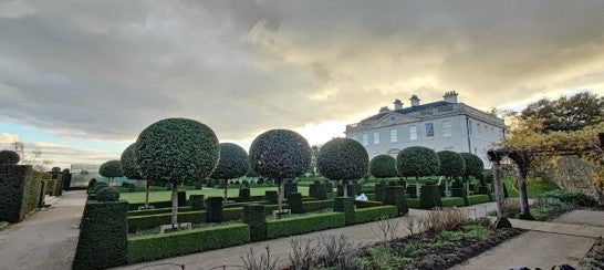 <h4>Winner: Harrie Carnochan</h4>