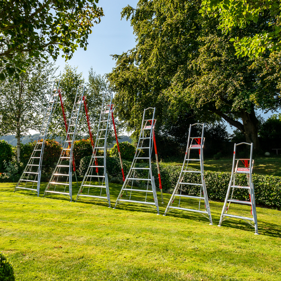 Driepootladder serie